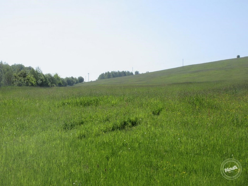 Drazba_pozemku_Chrastava_5