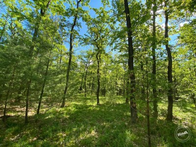 Dražba_pozemku_Kersko_3 (1)