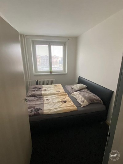 Aukce_bytu_v_Olomouci_9