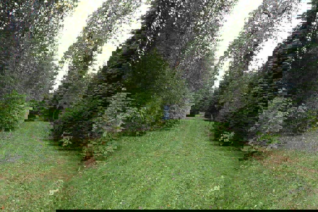 Dražba domu Lidmaň 7