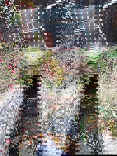 dražba malé vodní elektrárny8