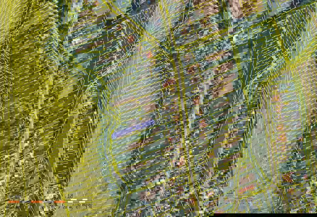 Dražba zahrady Zlechov 2