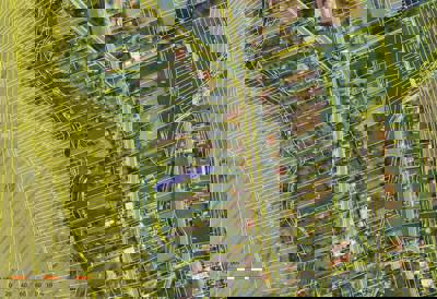 Dražba zahrady Zlechov 2