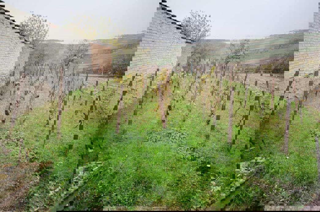 Dražba Domu Vrbice - 5