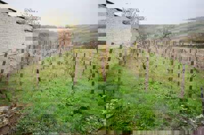 Dražba Domu Vrbice - 5