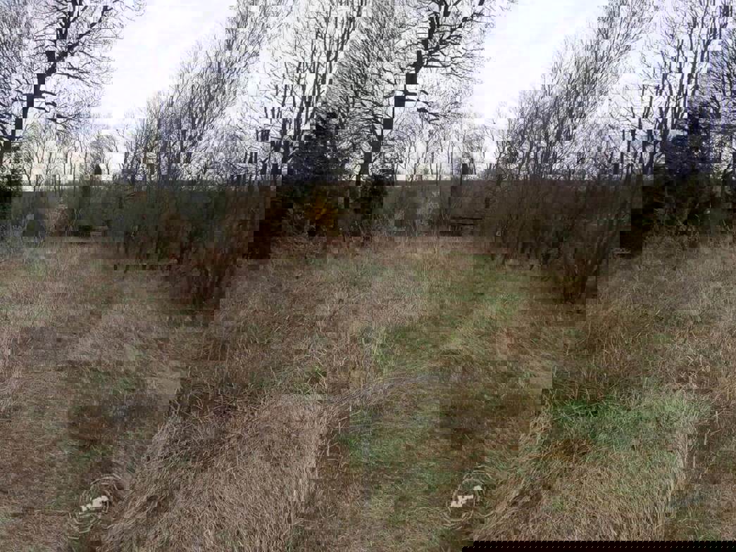 Dražba Domu Rousínov 5