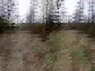 Dražba Domu Rousínov 5