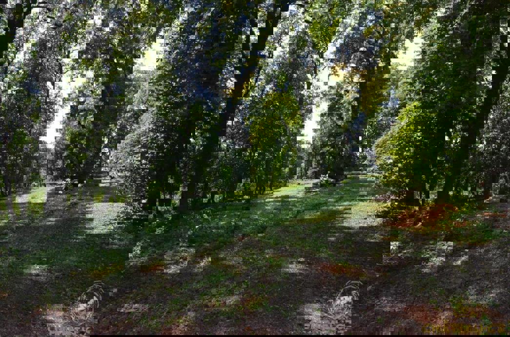 Prodej Zámku Krnsko 12