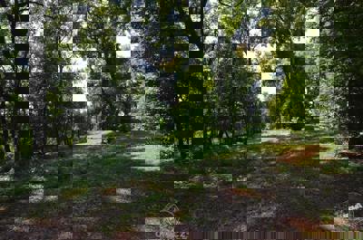 Prodej Zámku Krnsko 12