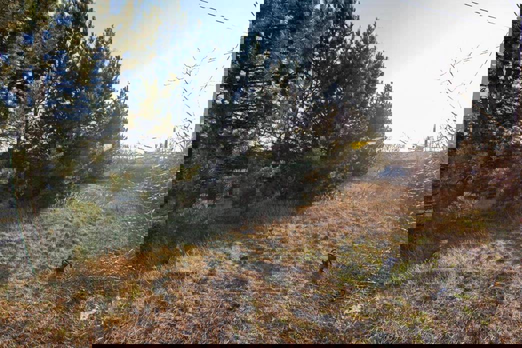 Dražba areálu Nové Modlany23