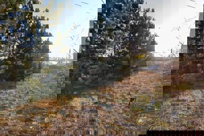 Dražba areálu Nové Modlany23