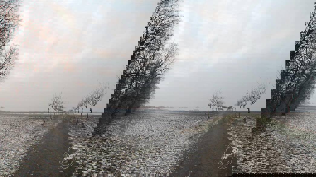 Aukce pozemků v Miškovicích, Praha 2