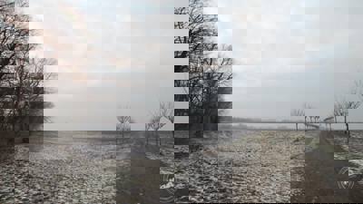 Aukce pozemků v Miškovicích, Praha 2