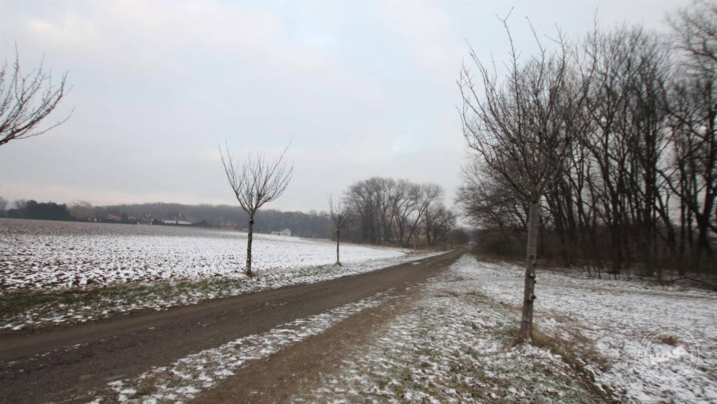 Aukce pozemků v Miškovicích, Praha 3