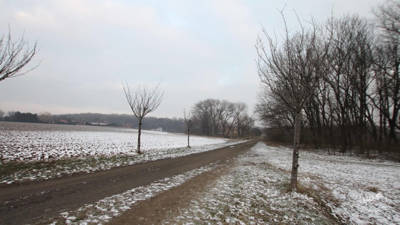 Aukce pozemků v Miškovicích, Praha 3