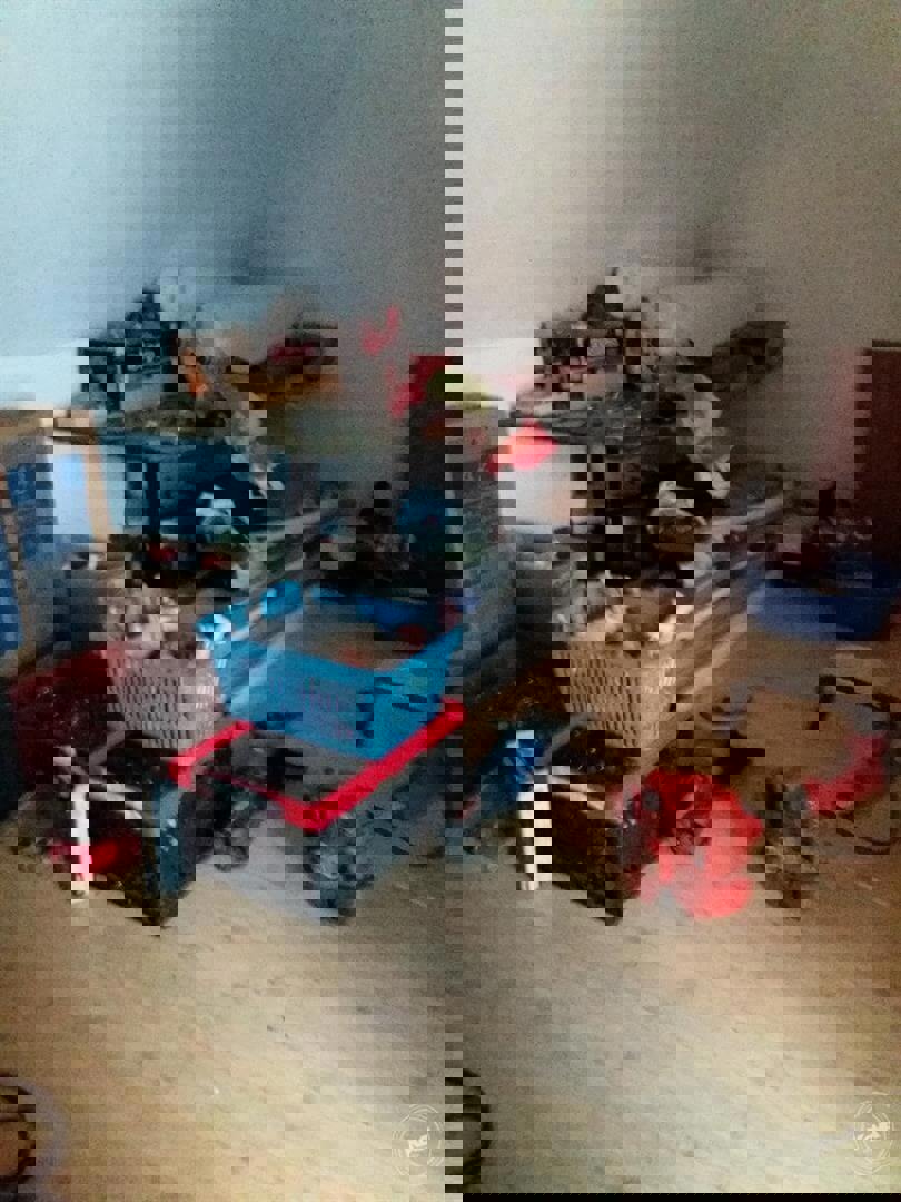 Dražba rpodinného bytu Proseč6