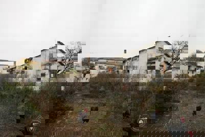 Aukce vepřína v Božejovicích 4