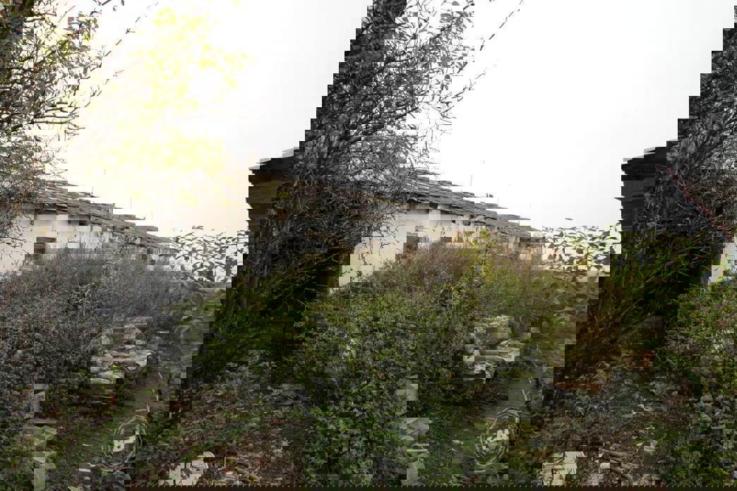 Aukce vepřína v Božejovicích 5