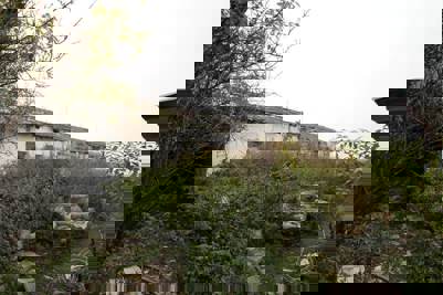 Aukce vepřína v Božejovicích 5