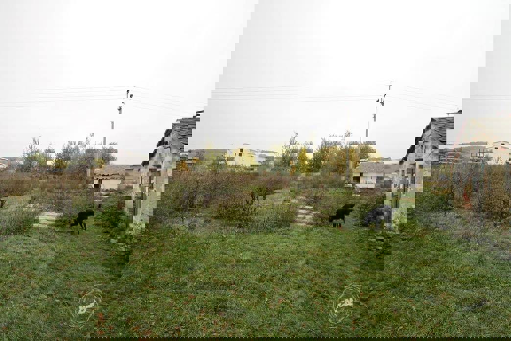 Aukce vepřína v Božejovicích 6