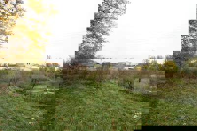 Aukce vepřína v Božejovicích 7