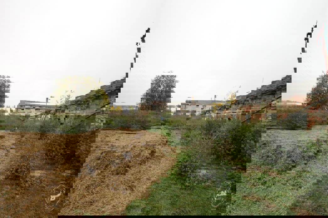 Aukce vepřína v Božejovicích 8