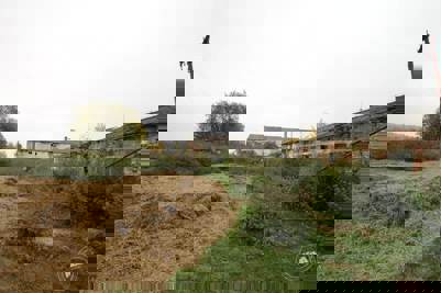 Aukce vepřína v Božejovicích 8