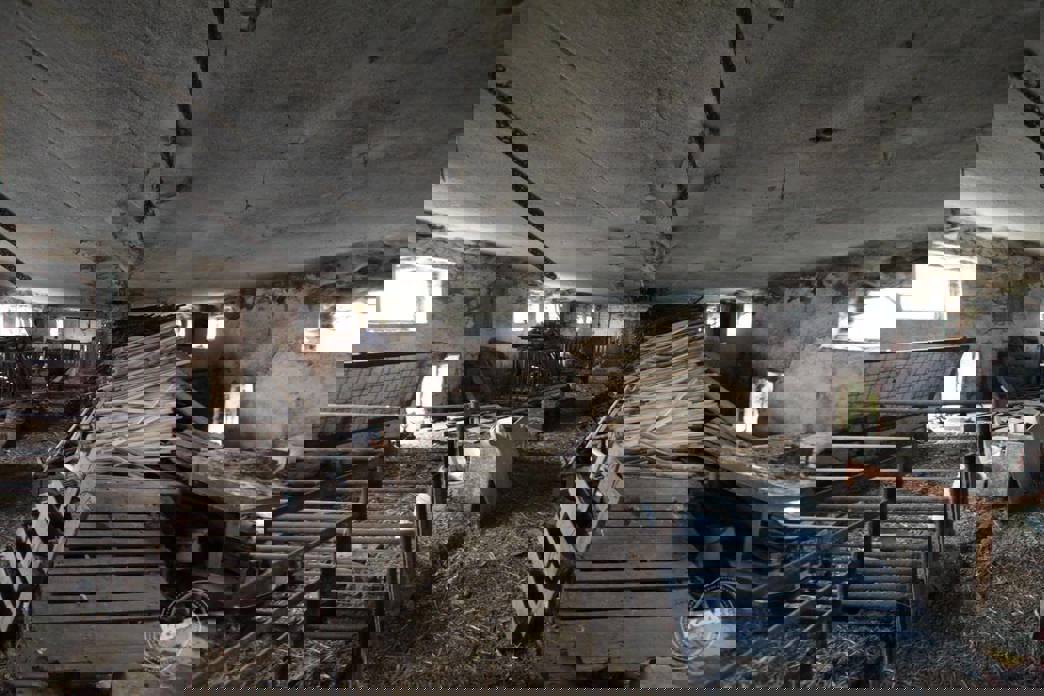 Aukce vepřína v Božejovicích 9