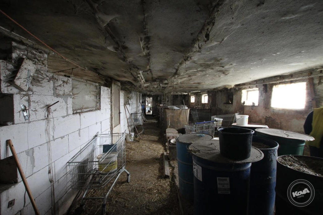 Aukce vepřína v Božejovicích 10