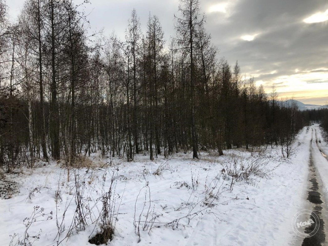 Dražba_pozemků_Žichlice_3