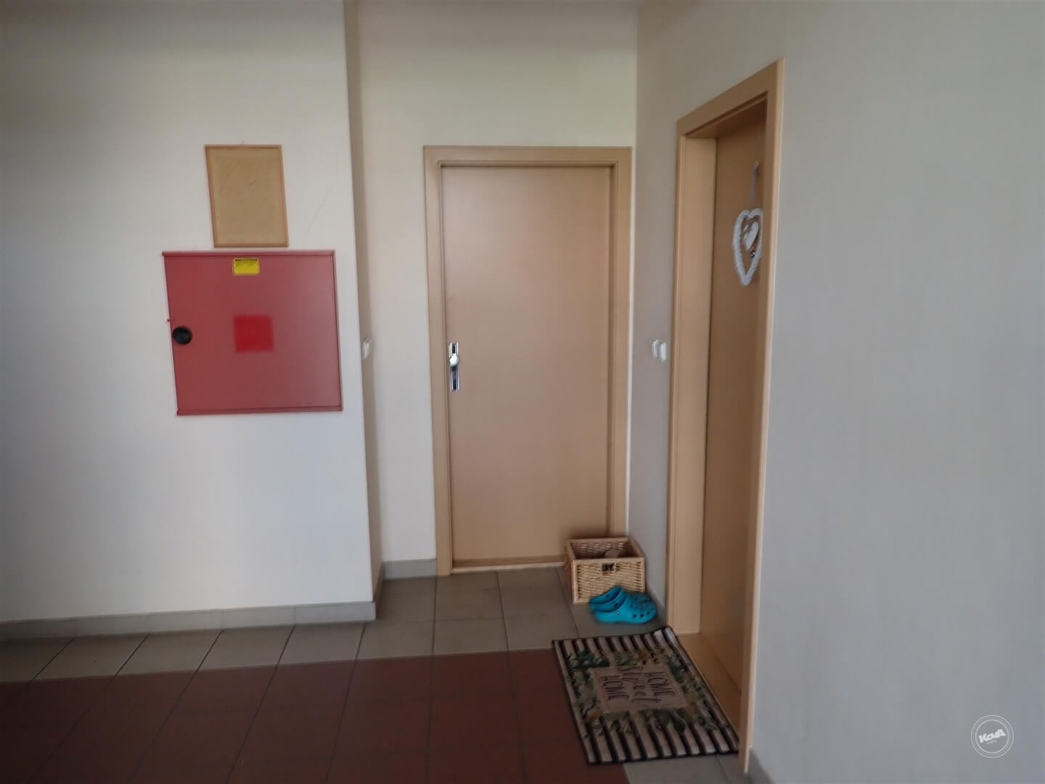 Drazba_byt_Bolevec_13 (3)