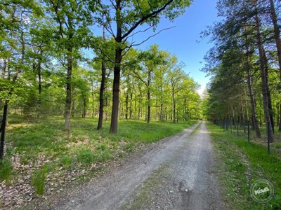 Dražba_pozemku_Kersko_4 (1)