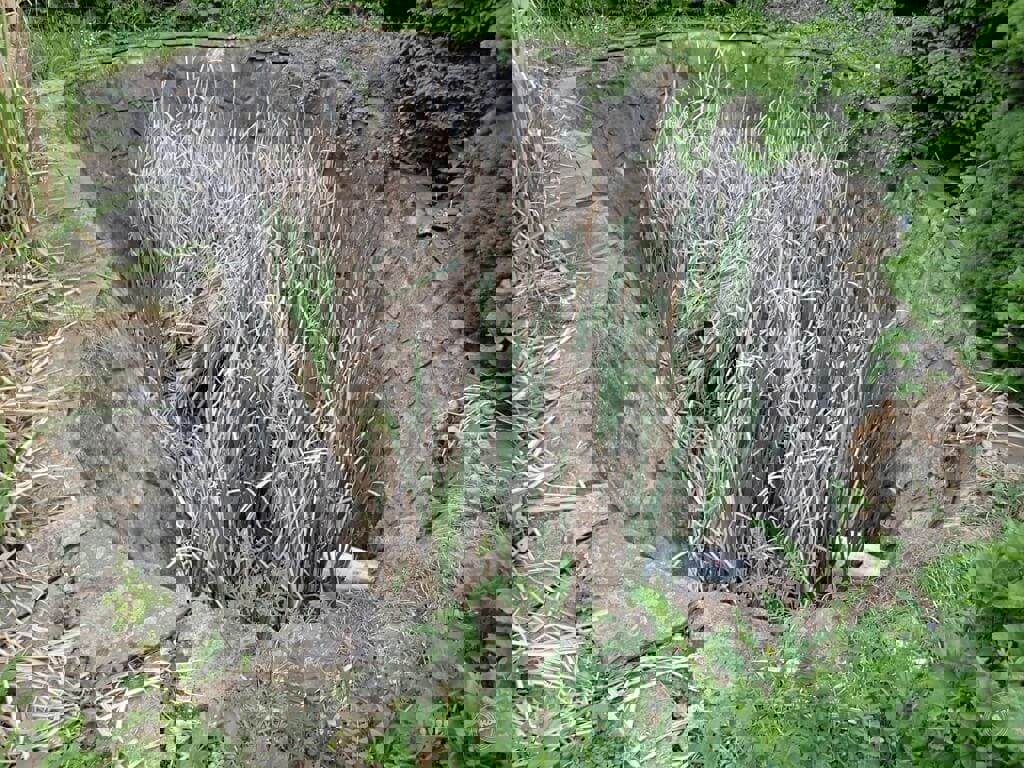 Drazba_RD_Kutna_Hora_11 (6)