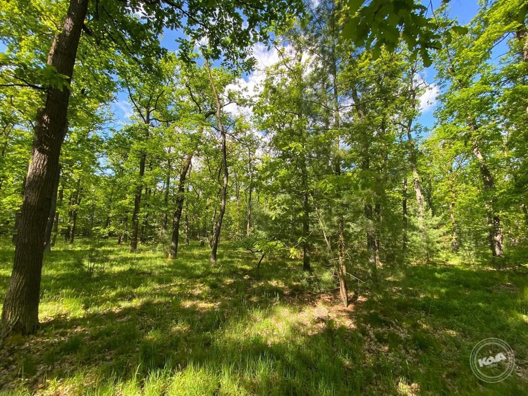 Dražba_pozemku_Kersko_2_4_