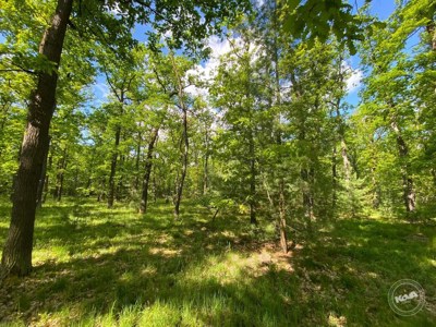 Dražba_pozemku_Kersko_2_4_