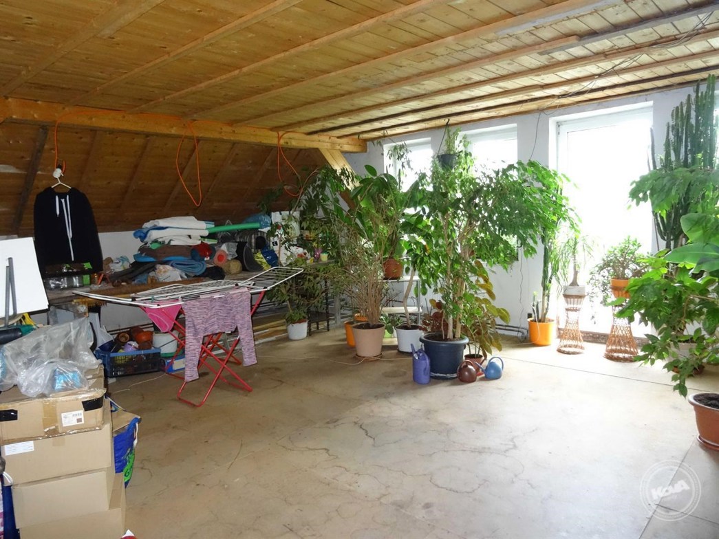 dražba-domu--nová-ves-u-křimova-14_optimized