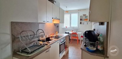 Aukce_bytu_v_Olomouci_5