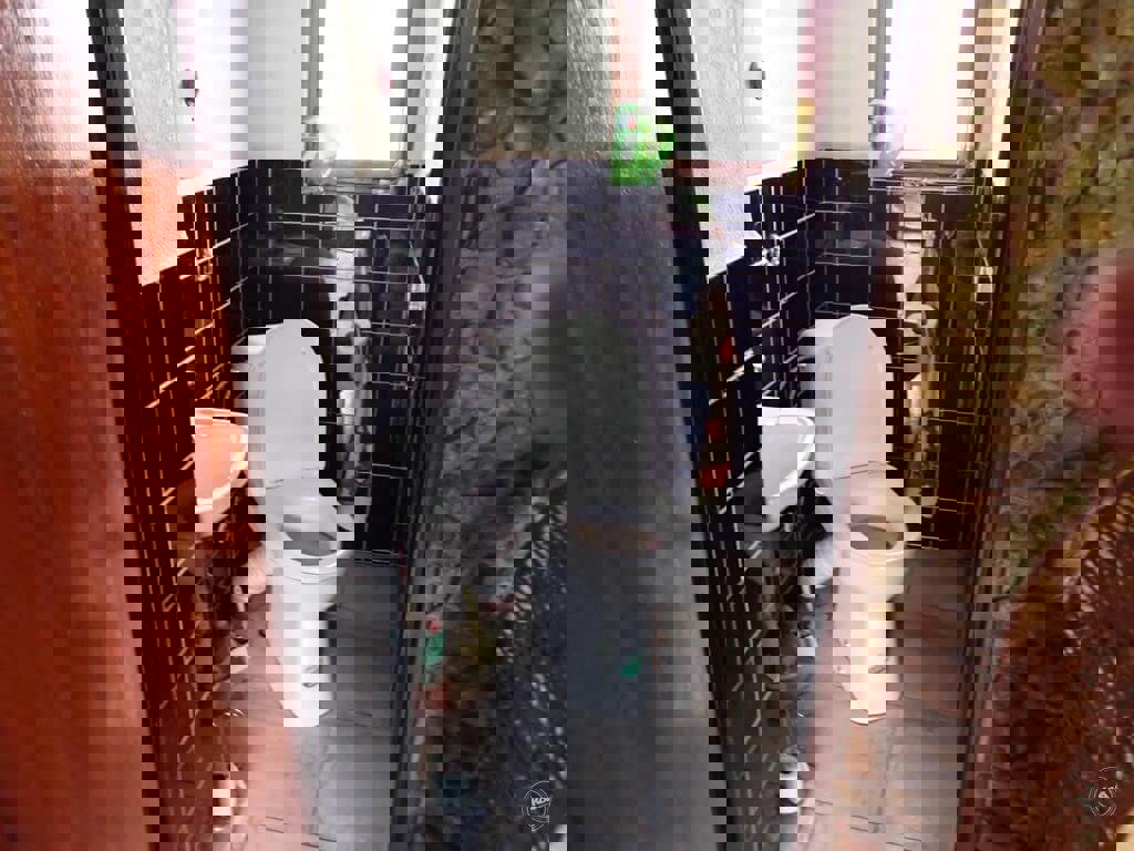 Drazba_RD_Kutna_Hora_18 (6)