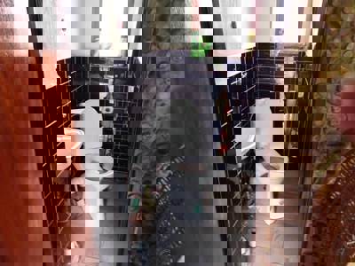 Drazba_RD_Kutna_Hora_18 (6)