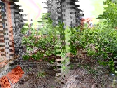 Drazba_RD_Kutna_Hora_8 (6)