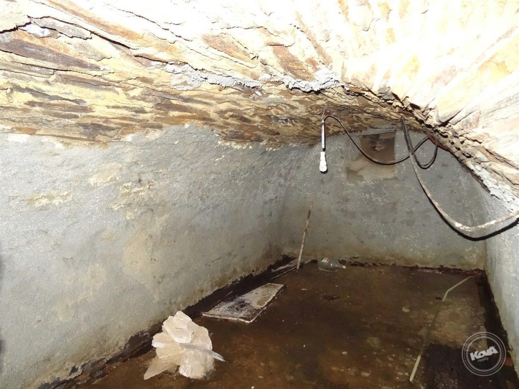 dražba-domu--nová-ves-u-křimova-21_optimized