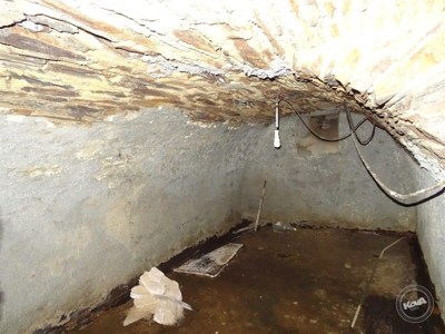 dražba-domu--nová-ves-u-křimova-21_optimized