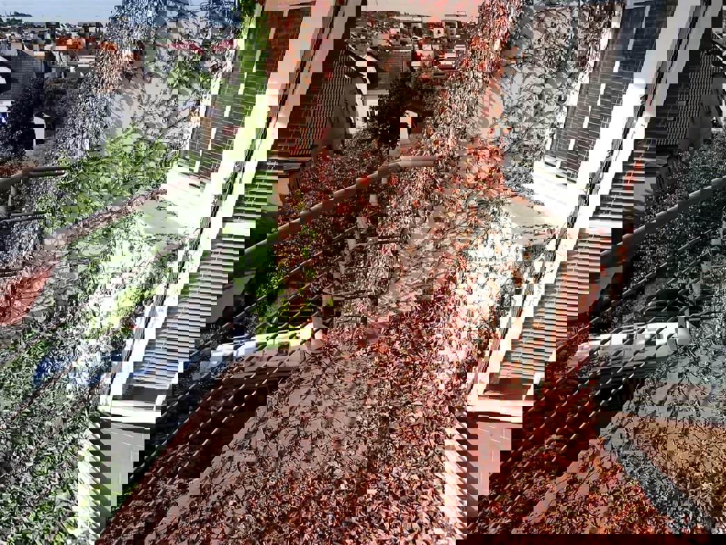 Drazba_byt_Bolevec_14 (3)