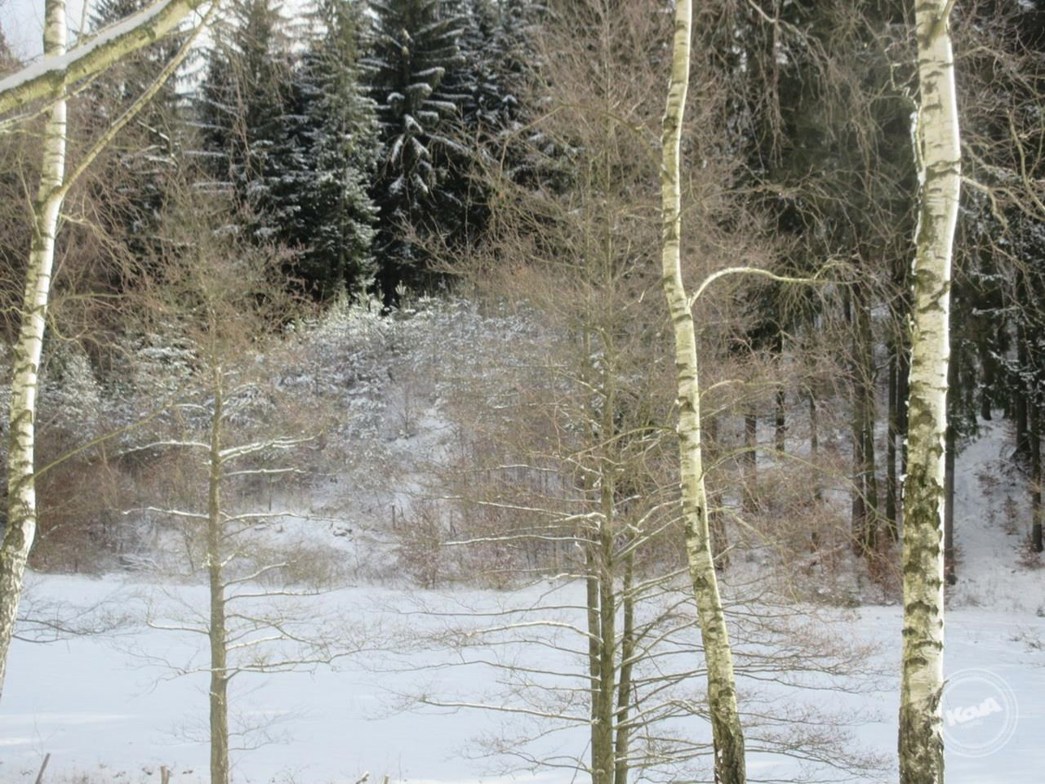 Aukce_pozemku_Krasna_Studanka_2