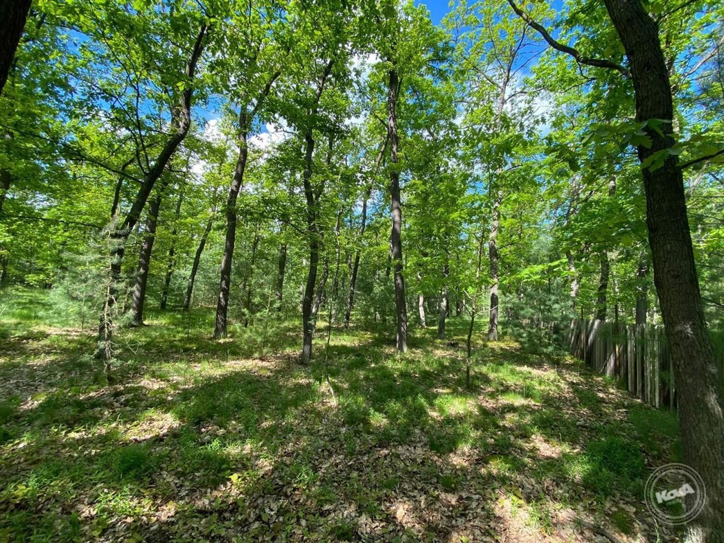 Dražba_pozemku_Kersko_1 (1)