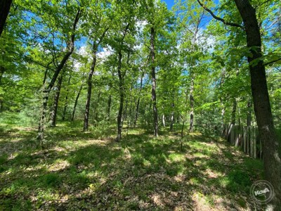 Dražba_pozemku_Kersko_1 (1)