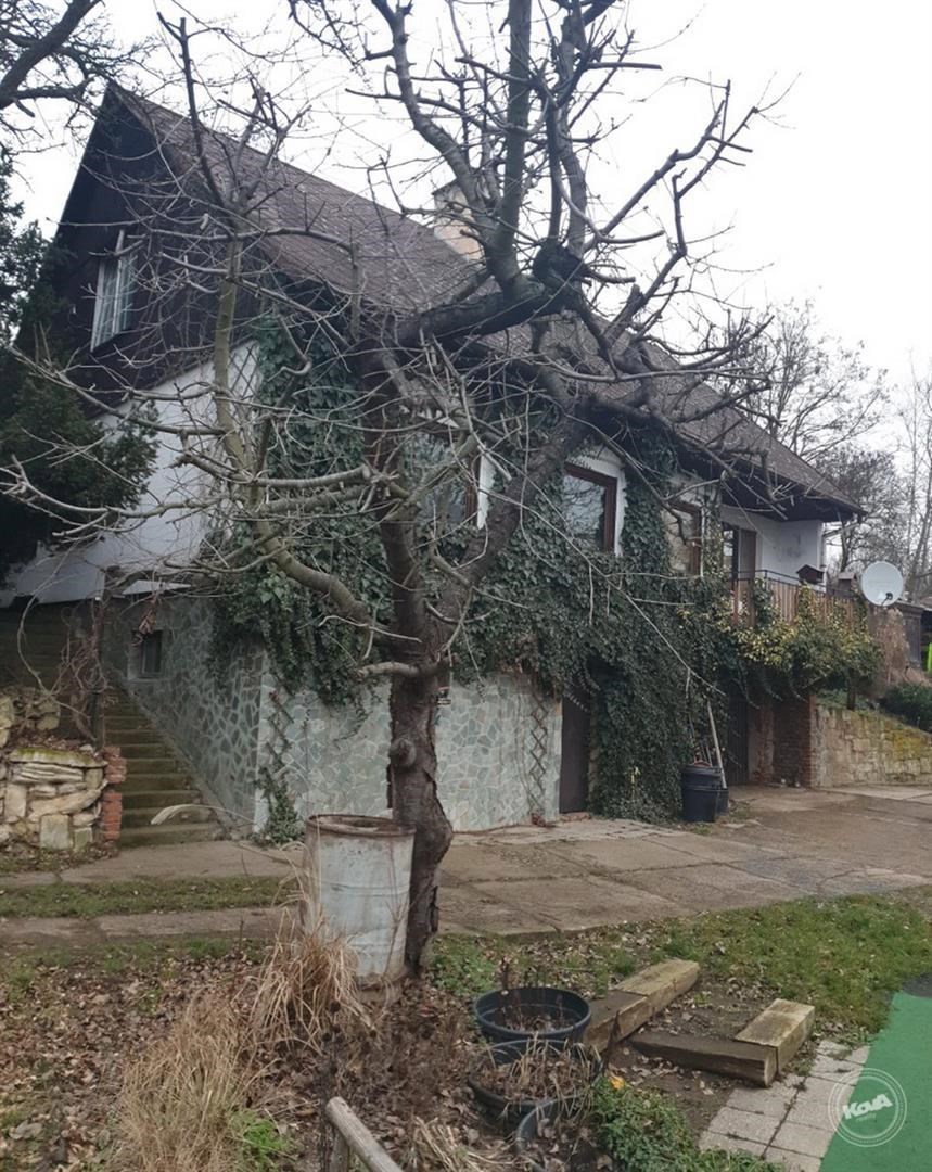 Drazba_ploviny_RD_Zatec_2 (1)