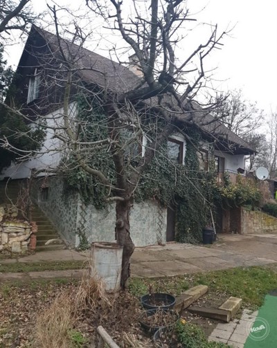 Drazba_ploviny_RD_Zatec_2 (1)