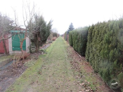 Drazba_podilu_na_bytu_a_chate_33