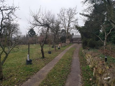 Drazba_ploviny_RD_Zatec_18 (1)